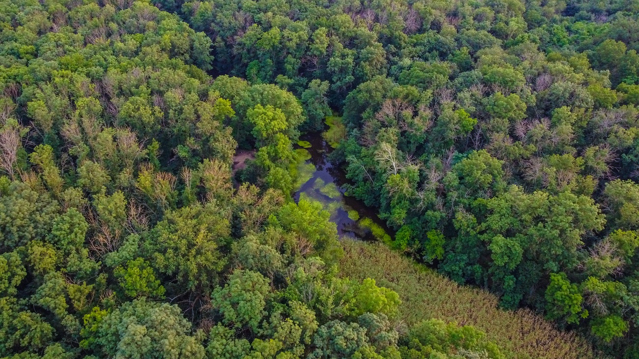 Мальовничі степи, скелі та каньйони: найкращі локації півдня України для теплої осінньої мандрівки